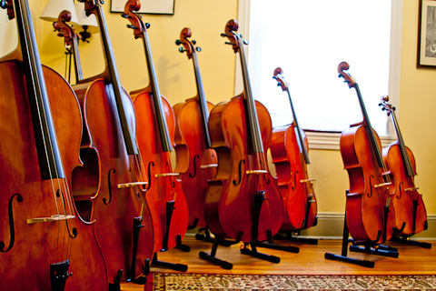 cellos