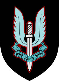 Special Air Service badge