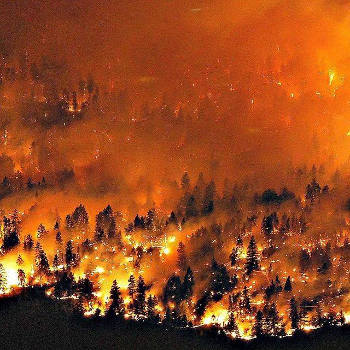 wildfire in British Columbia, 2015